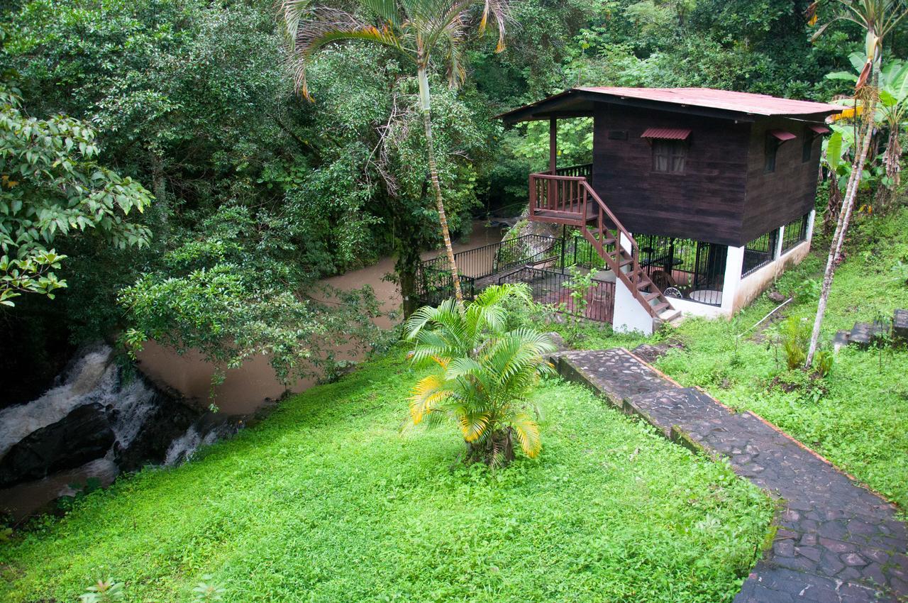 Mamallena Eco Lodge La Laguna de San Carlos Room photo