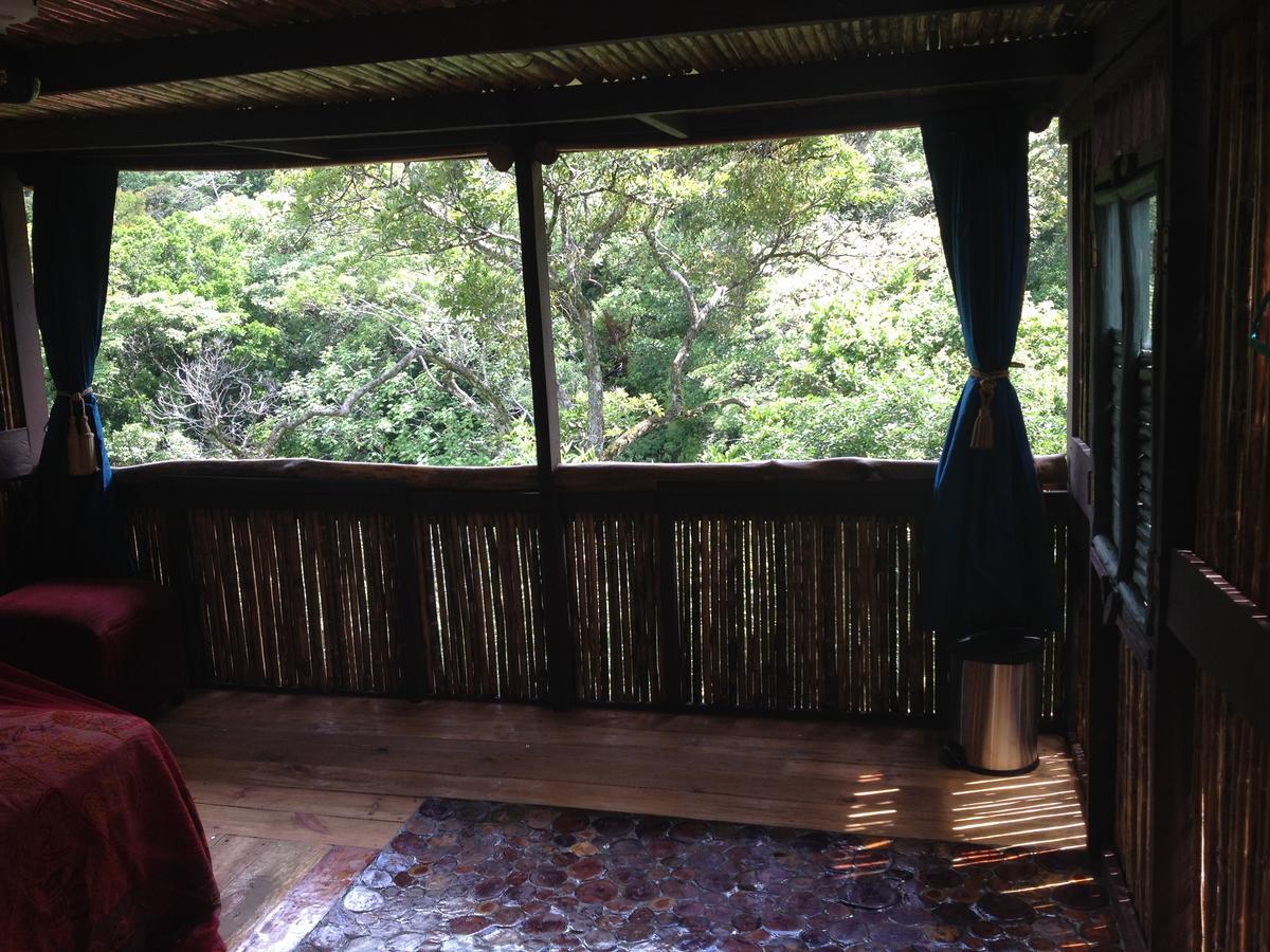 Mamallena Eco Lodge La Laguna de San Carlos Exterior photo