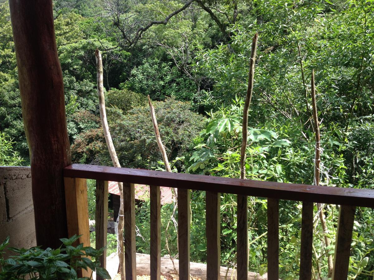 Mamallena Eco Lodge La Laguna de San Carlos Exterior photo
