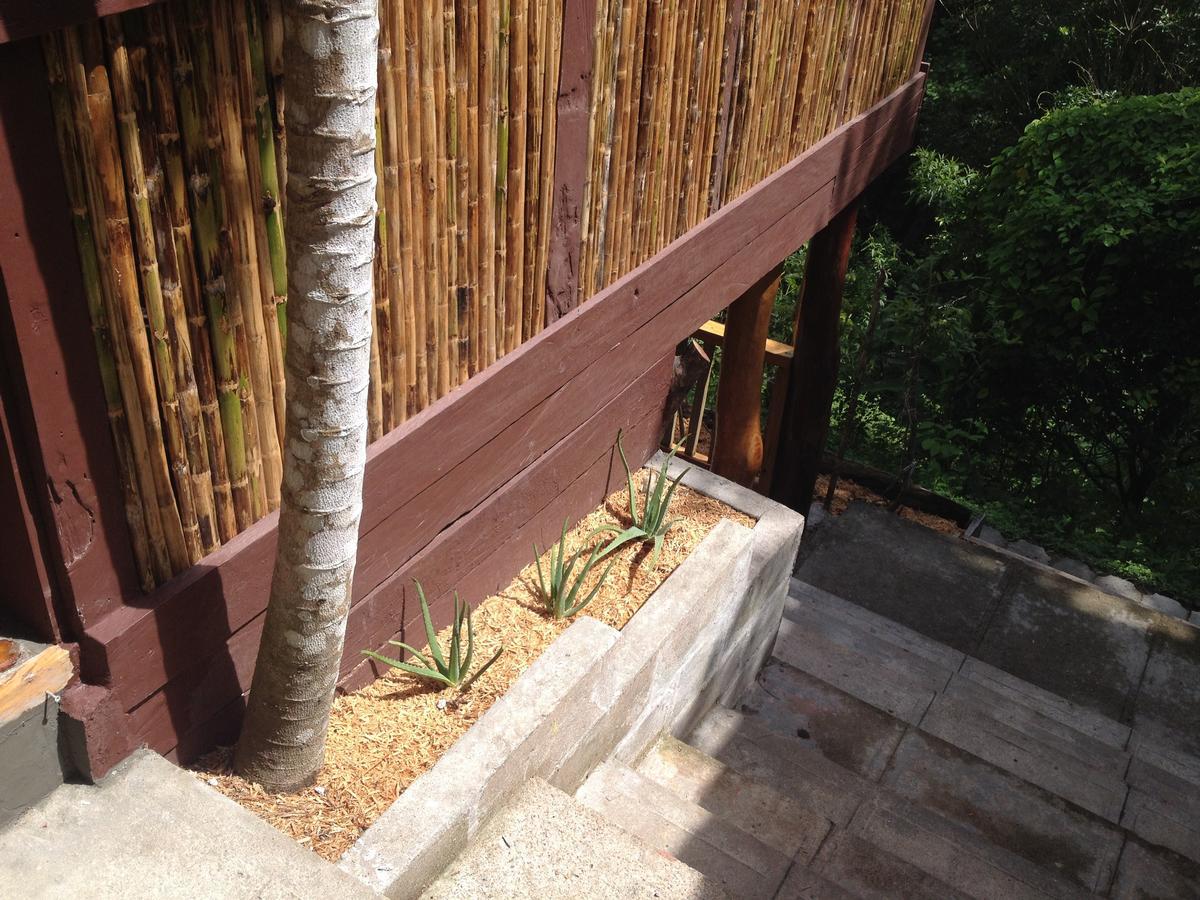 Mamallena Eco Lodge La Laguna de San Carlos Exterior photo